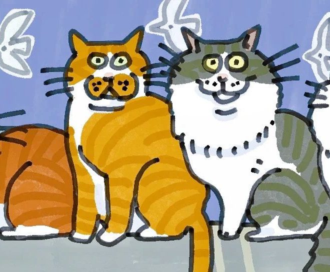 Are Cats Colorblind? What Does the World Look Like Through Their Eyes?