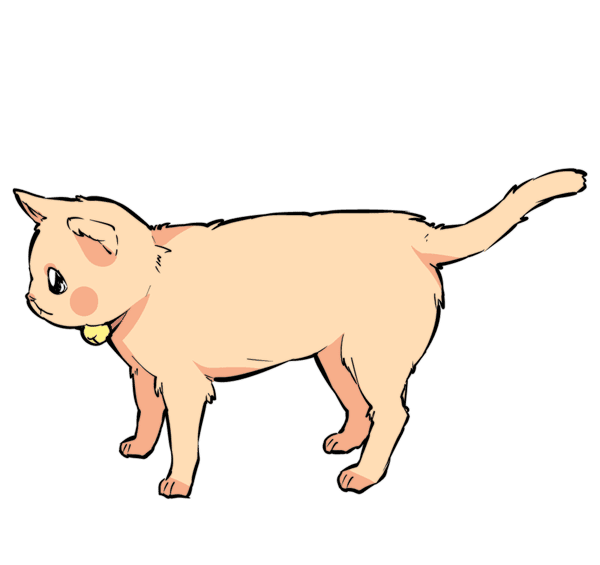 Your Cat’s Tail Can Talk – Can You Read Its Signals?