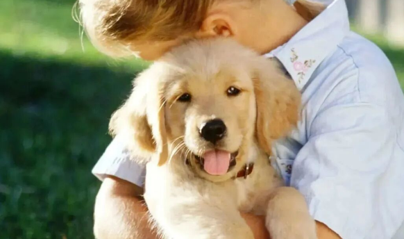 Puppy, You’re So Tough!