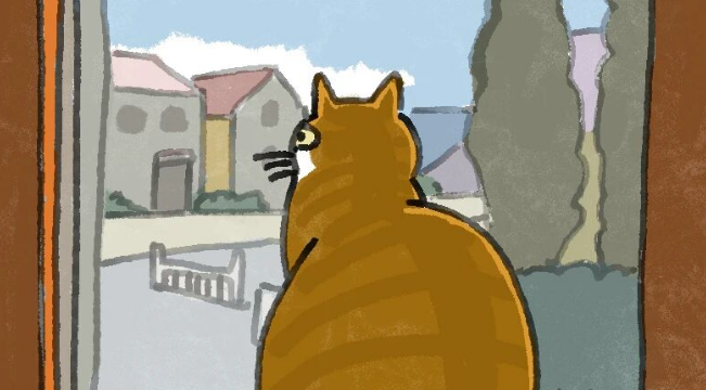 Can Cats Remember Where Their Home Is?