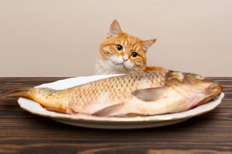 Do Cats Naturally Avoid Getting Fish Bones Stuck While Eating Fish?
