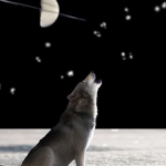 Why Dogs Are Born Smart and Have Human-Like Traits: After Seeing Their ‘Family Tree,’ You’ll Believe It