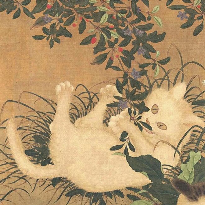 Why Do People Say Cats Have Nine Lives? Can They Really Die Nine Times?