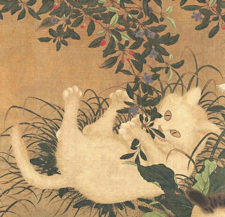 Why Do People Say Cats Have Nine Lives? Can They Really Die Nine Times?